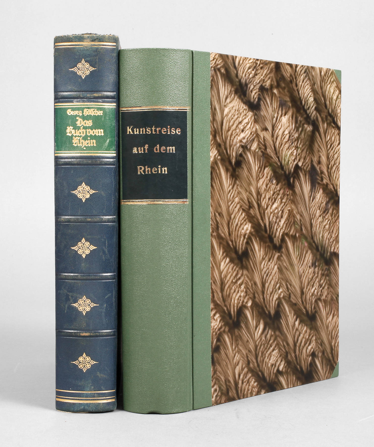 Konvolut Fachliteratur Rheingebiet