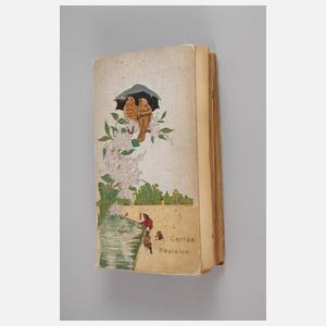 Ansichtskartenalbum Deutschland und international