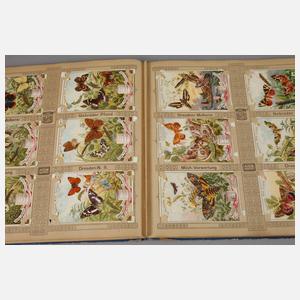 Sammelbilderalbum Molkerei Pfund