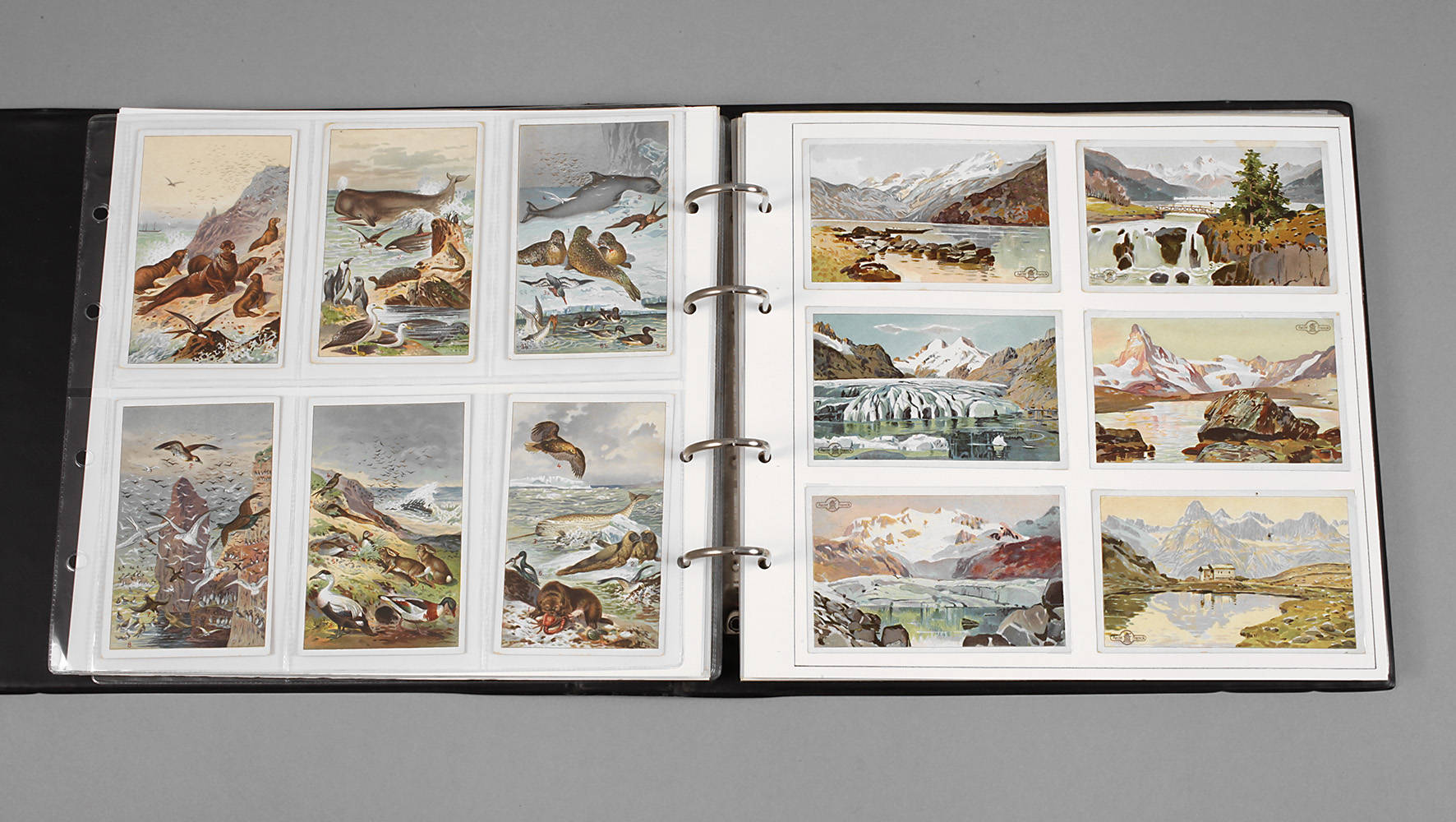 Konvolut Reklamebilder Franck Kaffeezusatz