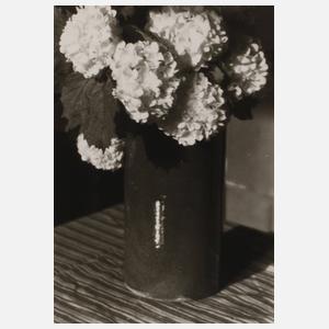 Heinrich Kühn (1866 bis 1944)