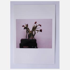 Jörg Knöfel/York der Knöfel (1962 bis 2011)