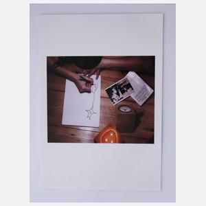 Jörg Knöfel/York der Knöfel (1962 bis 2011)