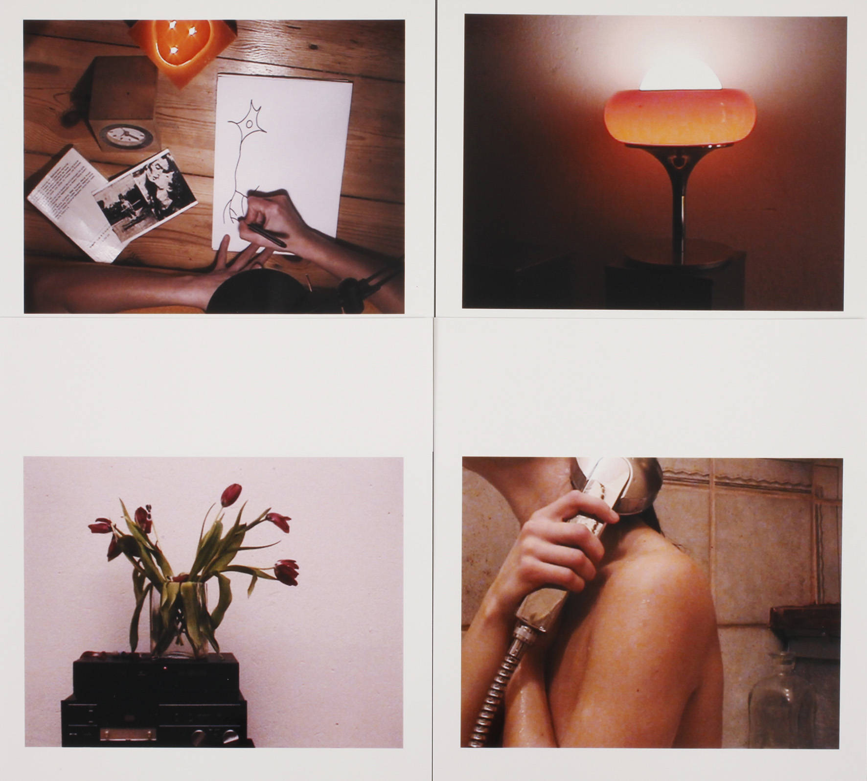 Jörg Knöfel/York der Knöfel (1962 bis 2011)