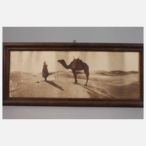 Sechs Fotografien Arabien/Wüste