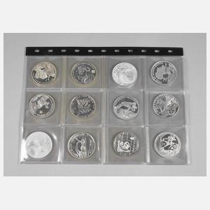 Konvolut Gedenkprägungen FIFA 2010 South Africa