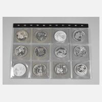 Konvolut Gedenkprägungen FIFA 2010 South Africa111