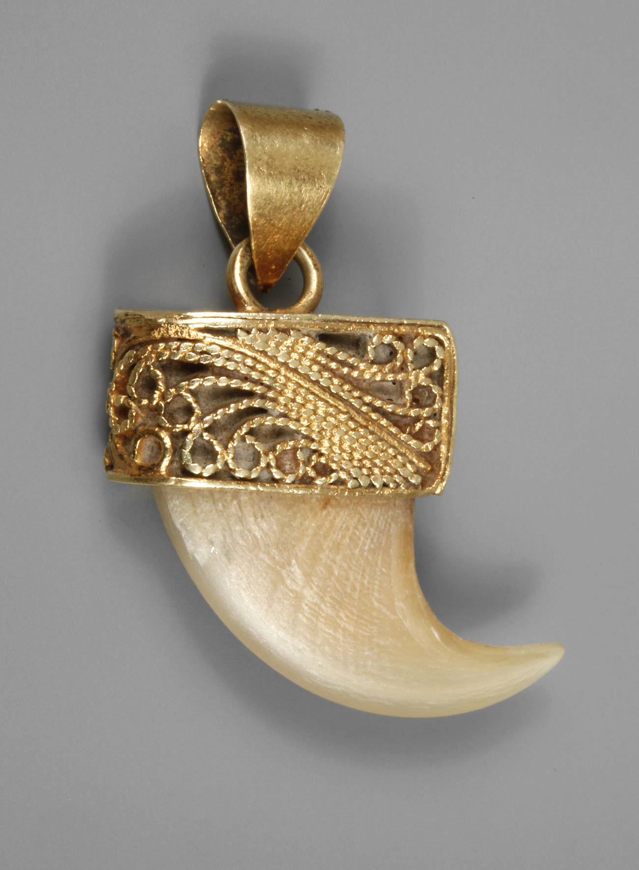 Anhänger mit Tigerkralle