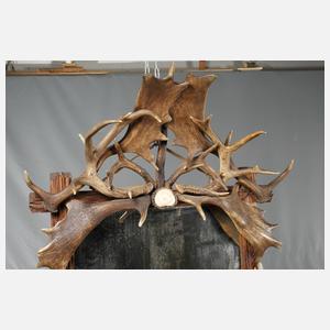 Großer Geweihspiegel