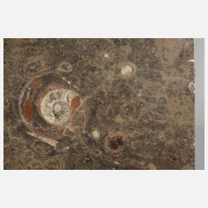 Tischplatte mit Fossilien