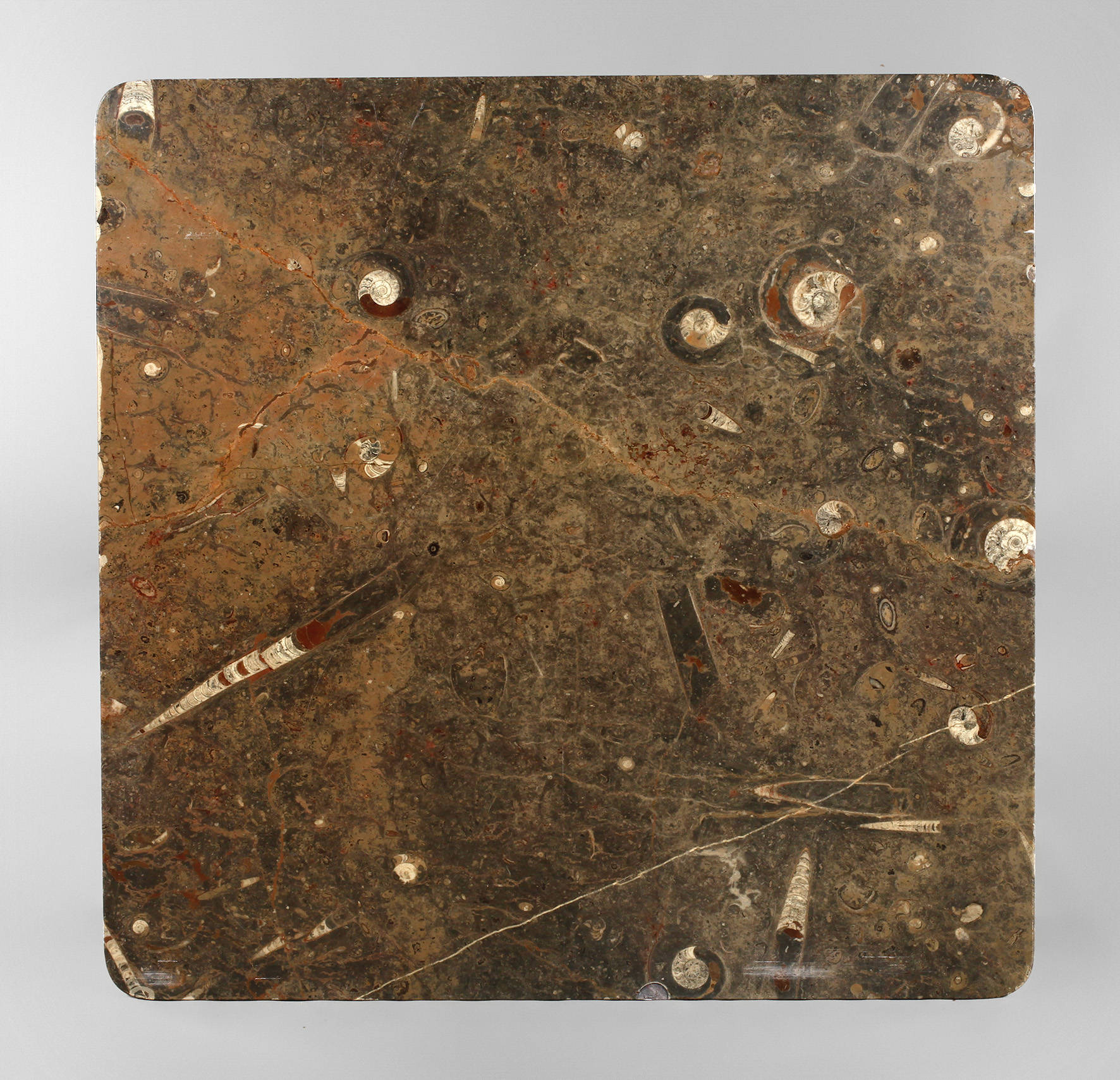 Tischplatte mit Fossilien