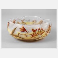 Daum Nancy Schale111