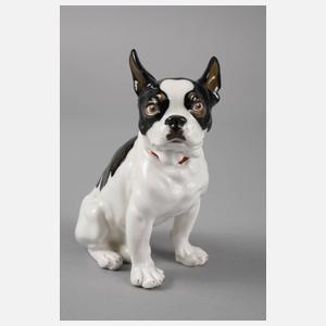 Meissen ”Zwergbulldogge”