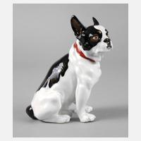 Meissen ”Zwergbulldogge”111