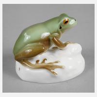 Nymphenburg ”Laubfrosch”111