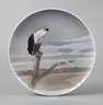 Rosenthal Wandteller Adlermotiv