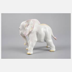 Nymphenburg ”Elefant”