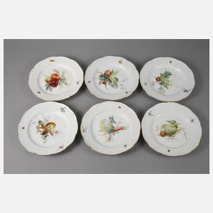 Meissen sechs Speiseteller Gemüsemalerei