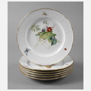 Meissen sechs Speiseteller Gemüsemalerei