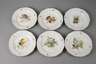 Meissen sechs Speiseteller Gemüsemalerei