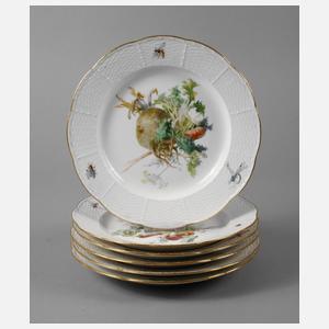 Meissen sechs Speiseteller Gemüsemalerei