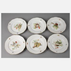 Meissen sechs Speiseteller Gemüsemalerei