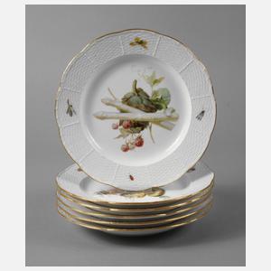 Meissen sechs Speiseteller Gemüsemalerei