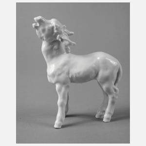 Meissen ”Junger Esel”