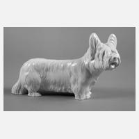 Meissen ”Skye Terrier”111