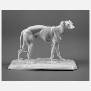 Nymphenburg Windhund