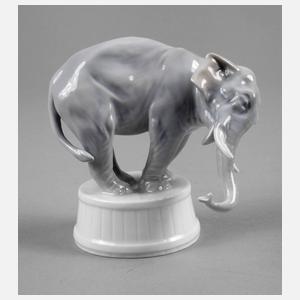 Rosenthal ”Elefant”