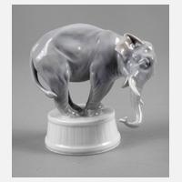 Rosenthal ”Elefant”111