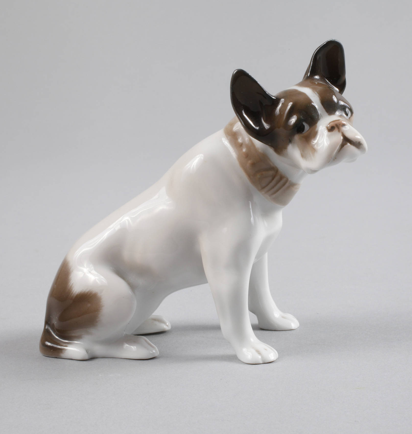 Rosenthal”Junge französische Bulldogge”