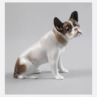 Rosenthal”Junge französische Bulldogge”111