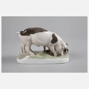 Rosenthal ”Schweinepaar”