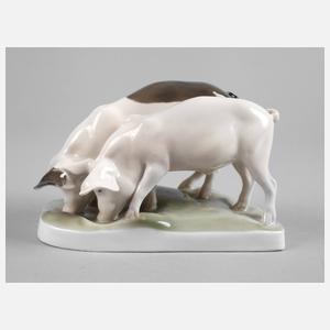 Rosenthal ”Schweinepaar”