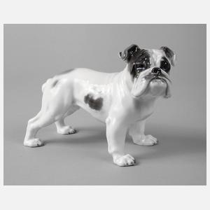 Rosenthal ”Englische Bulldogge”