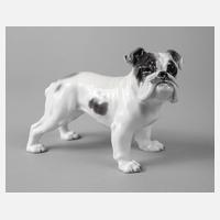 Rosenthal ”Englische Bulldogge”111