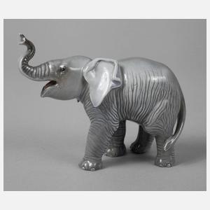 Rosenthal kleiner Elefant