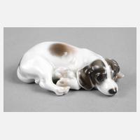 Rosenthal Miniatur Terrier111