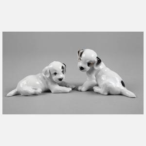 Rosenthal zwei Terrierwelpen