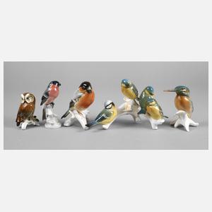 Rosenthal/Volkstedt-Rudolstadt Konvolut Vögel