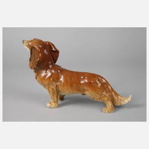 Volkstedt Langhaardackel