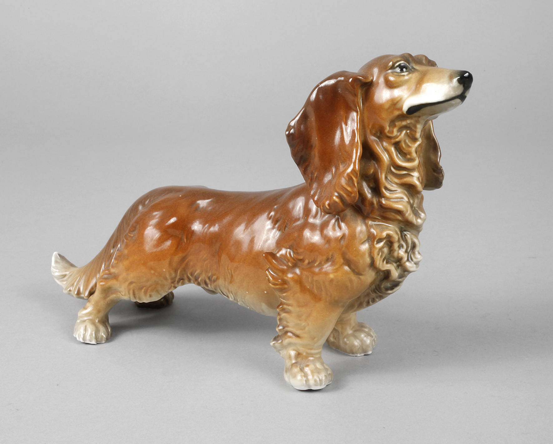 Volkstedt Langhaardackel