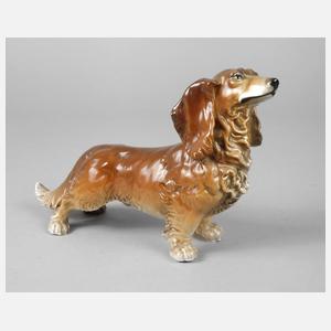 Volkstedt Langhaardackel