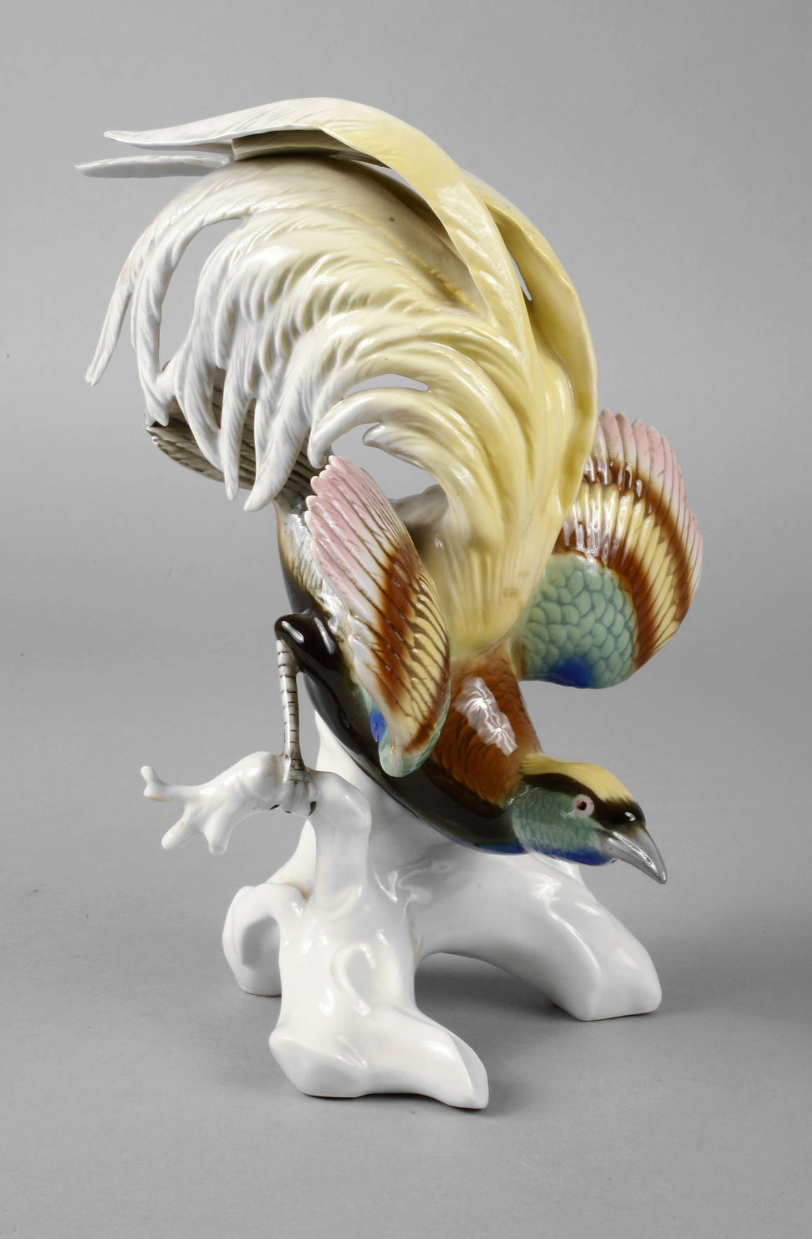 Volkstedt Paradiesvogel