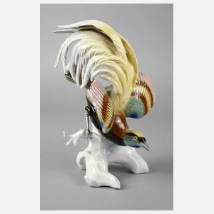 Volkstedt Paradiesvogel