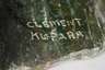 Clement Kupara, Jadeskulptur Warzenschwein