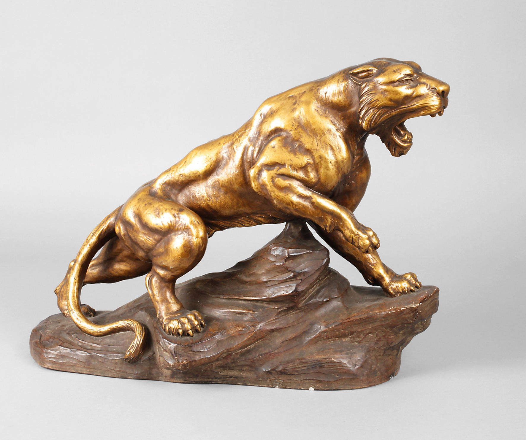 A. Fagotto, Raubkatze