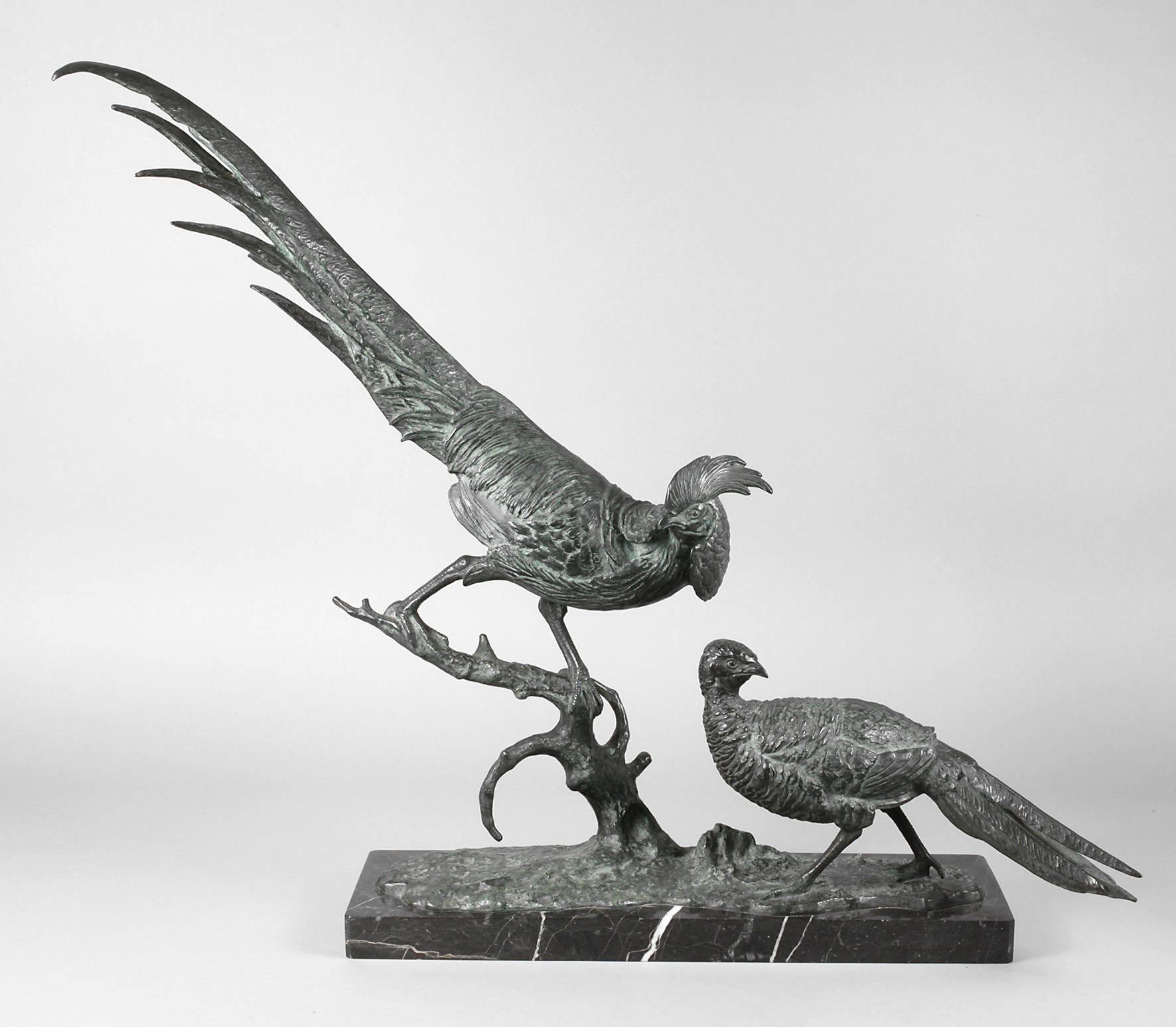 Anton Büschelberger, großes Goldfasanenpaar